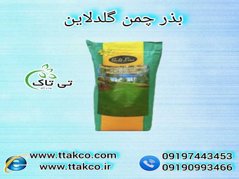 بذرچمن گلدلاین، فروش بذر چمن کوتاه با کیفیت بی نظیر 091974434530