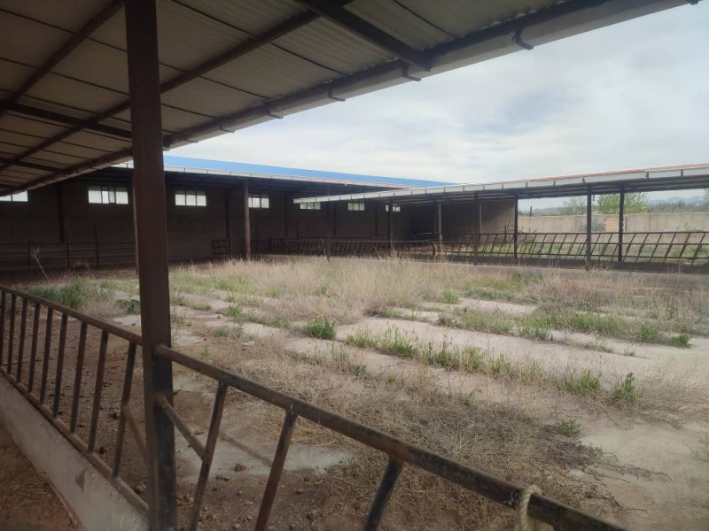 فروش گاوداری تبریز خسروشاه2