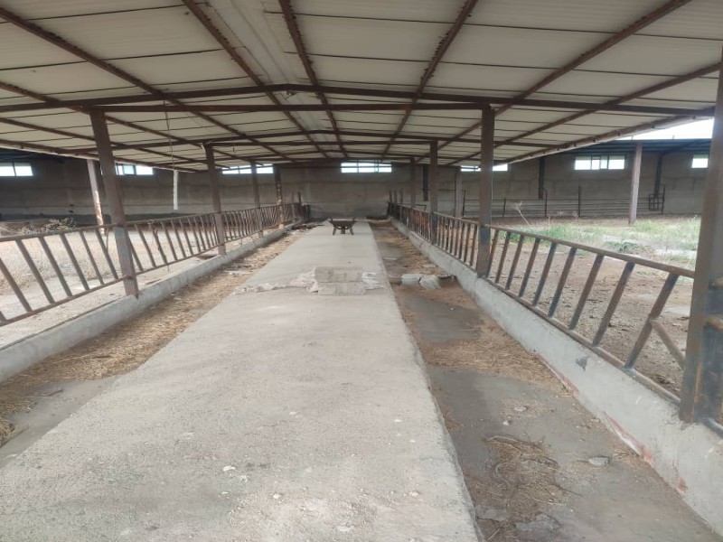 فروش گاوداری تبریز خسروشاه3