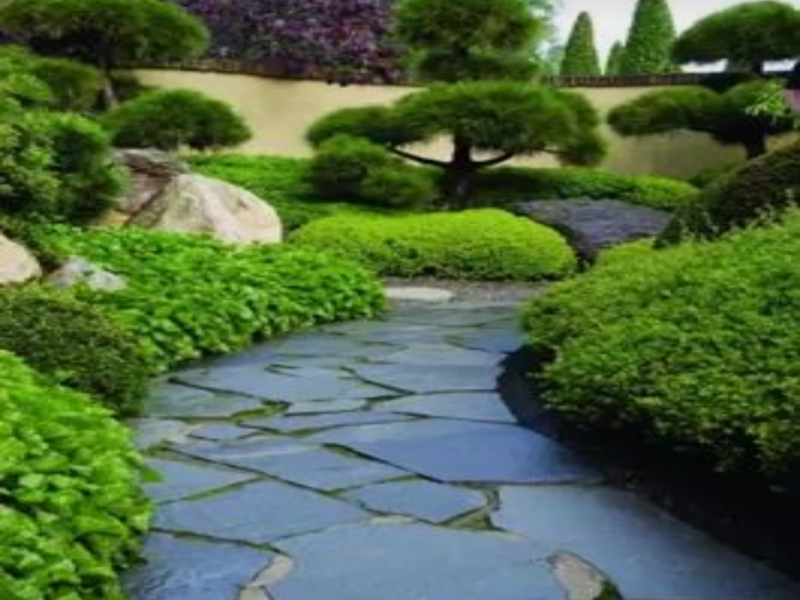 فروش سنگ لاشه ورقه ای سنگ مالون سنگ کوهی2