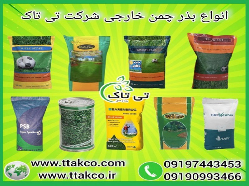 بذر چمن و تخم چمن خارجی گرمسیری و سردسیری با کیفیت0