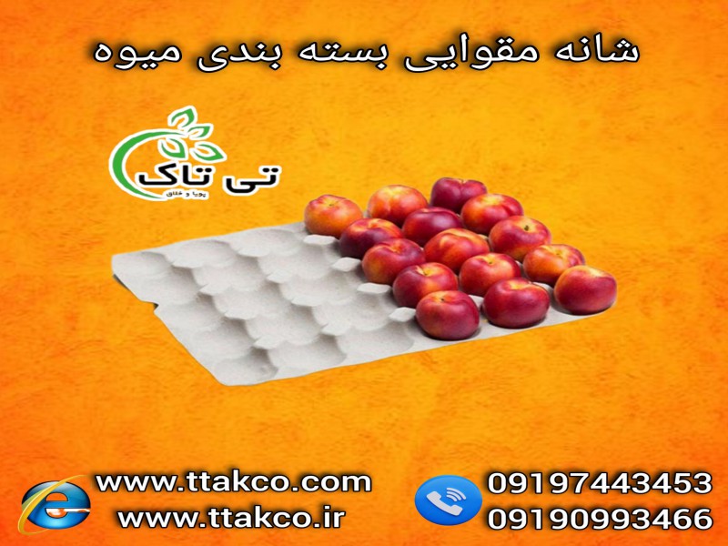 فروش شانه کاغذی میوه | شانه مقوایی میوه 091974434530