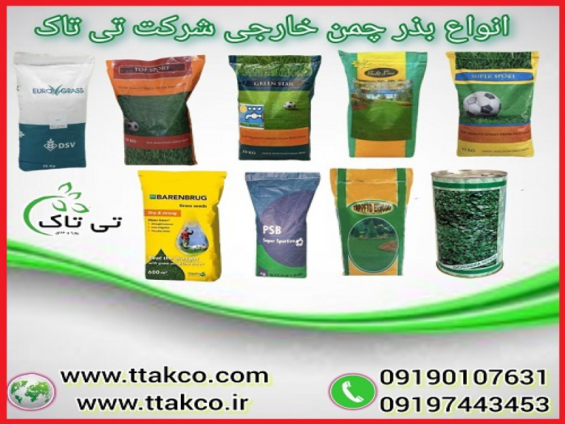 بذر چمن | قیمت هر کیلو بذر چمن خارجی با کیفیت0