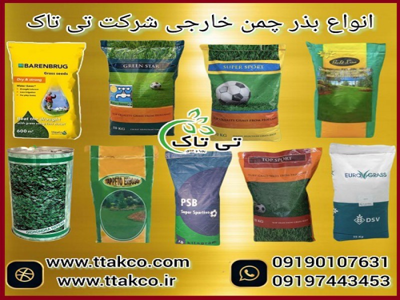 بذر ( تخم ) چمن خارجی با کیفیت عالی و قیمت مناسب0