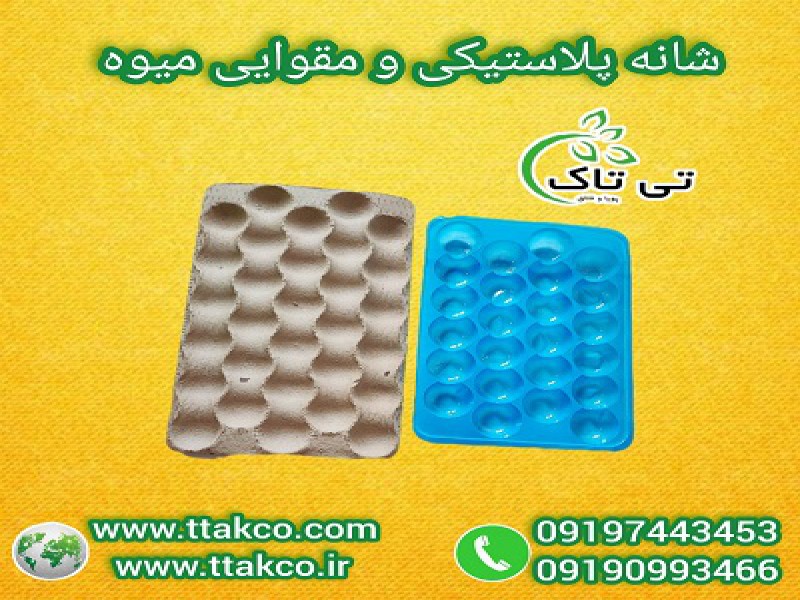فروش شانه میوه ( پلاستیکی ؛ میوه و مرکبات و سبزیجات؛ مقوایی ) 091974434530