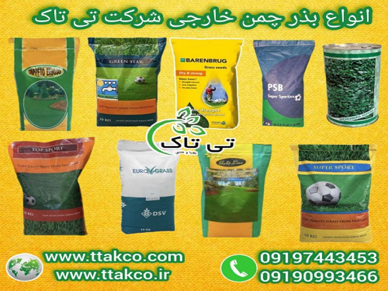 فروش انواع بذر چمن و بذر شبدر خارجی با کیفیت عالی0