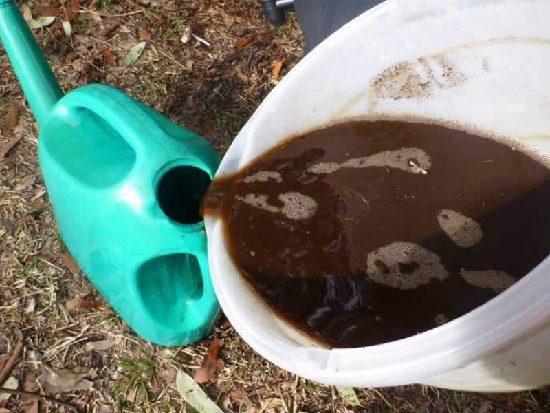 نحوه تولید کود کبوتر مایع چگونه است ؟0