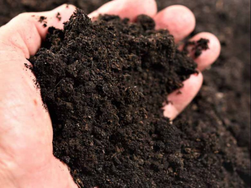 هوموس گیاهی0