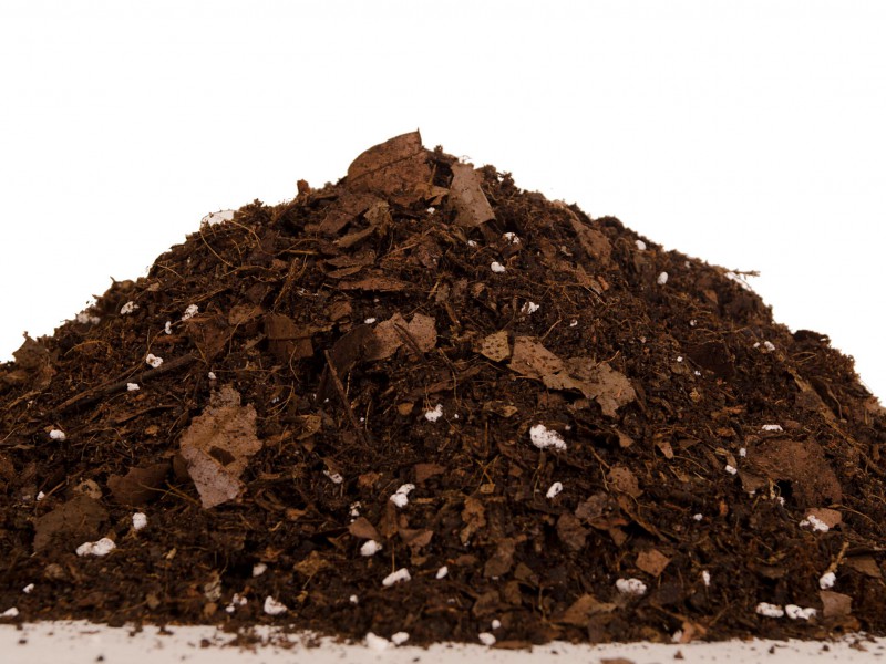 خاک برگ پوسیده جنگلی0