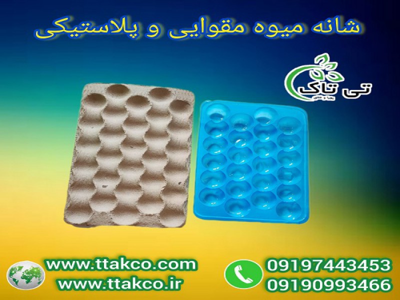 شانه میوه: بسته بندی و محافظت از میوه های صادراتی0