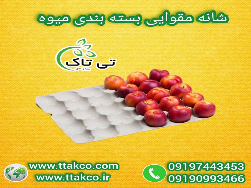 قیمت شانه مقوایی میوه و سبزیجات 091909934660