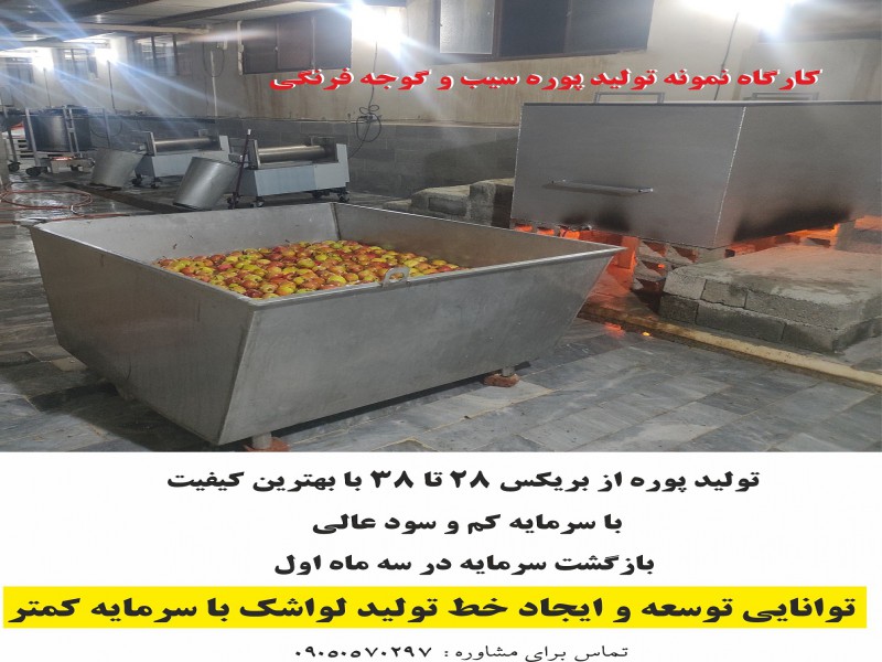 دستگاه دوکاره تولید پوره و آب میوه2