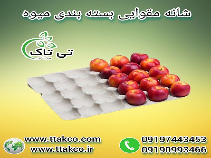 فروش عمده شانه میوه | شانه مقوایی میوه 091909934660