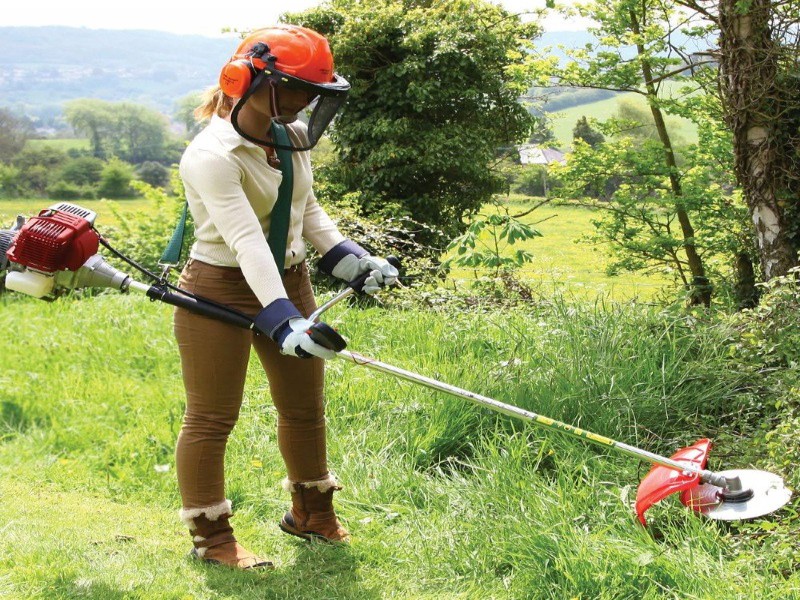 علف تراشی نوشهر|091131046700