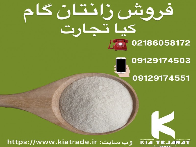 فروش زانتان گام1