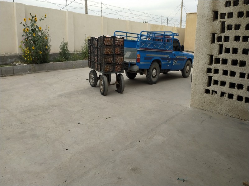 شرکت تعاونی فرآوری و بستهبندی و سردخانه  خرما  و مرکبات  موقعیت: شهر زیارتعلی، شهرستان رودان، استان هرمزگان،2