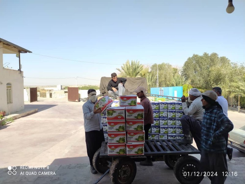 شرکت تعاونی فرآوری و بستهبندی و سردخانه  خرما  و مرکبات  موقعیت: شهر زیارتعلی، شهرستان رودان، استان هرمزگان،1