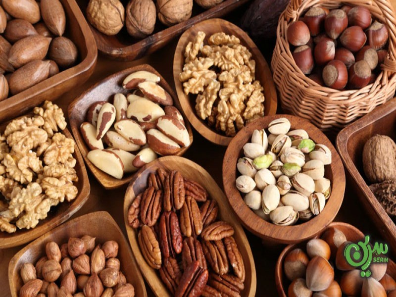 شرکت مغزیجات سرین1