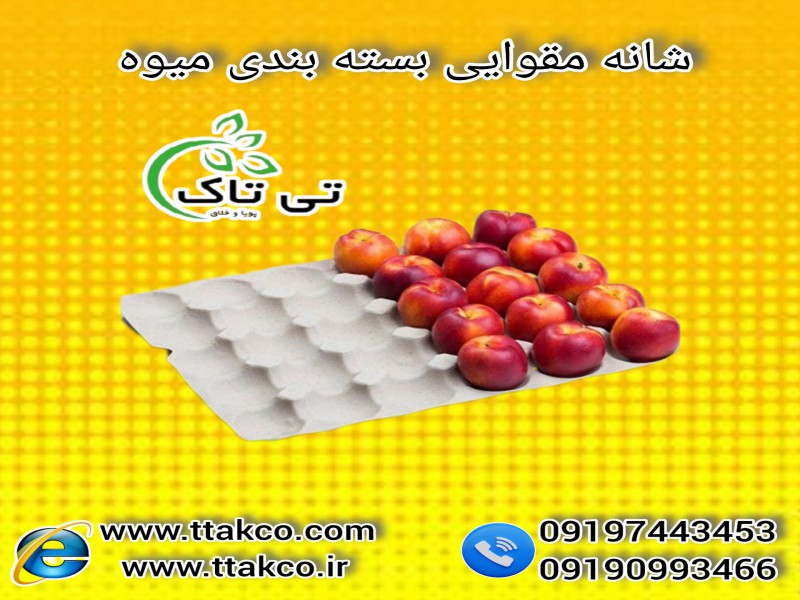 فروش شانه مقوایی | قیمت و خرید شانه مقوایی میوه 091974434530