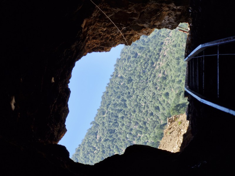 فروش فلورین1