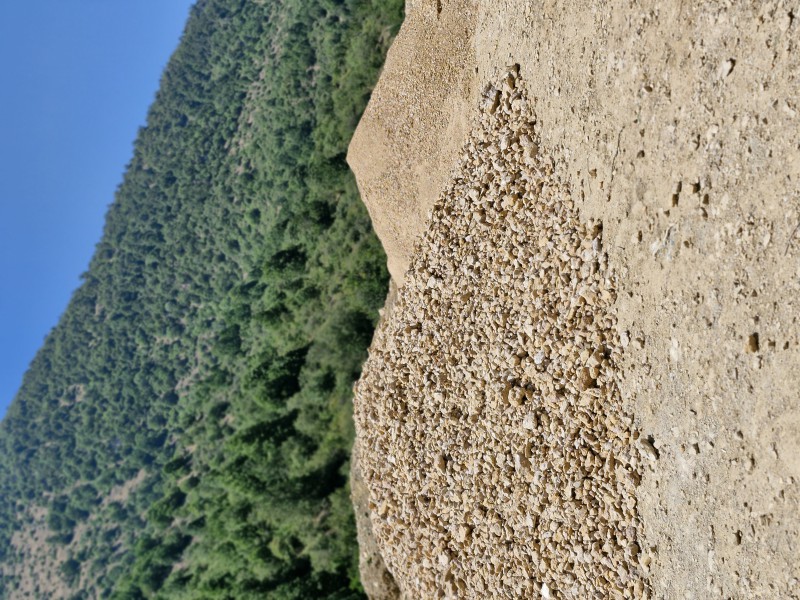 فروش فلورین0