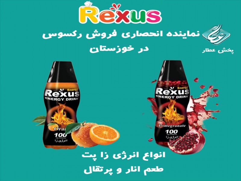 نماینده فروش انرژی زا رکسوس در خوزستان5