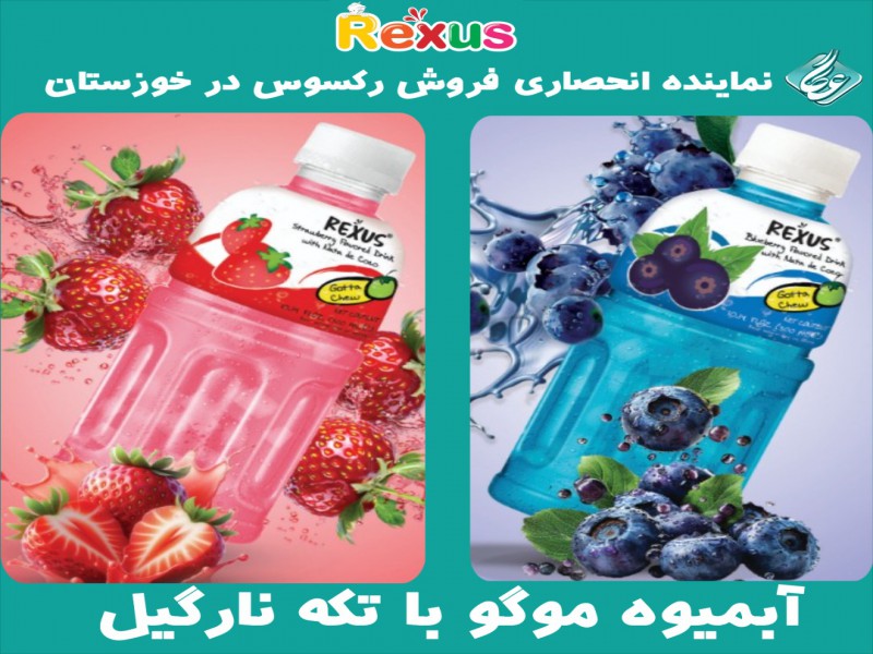 نماینده فروش انرژی زا رکسوس در خوزستان2