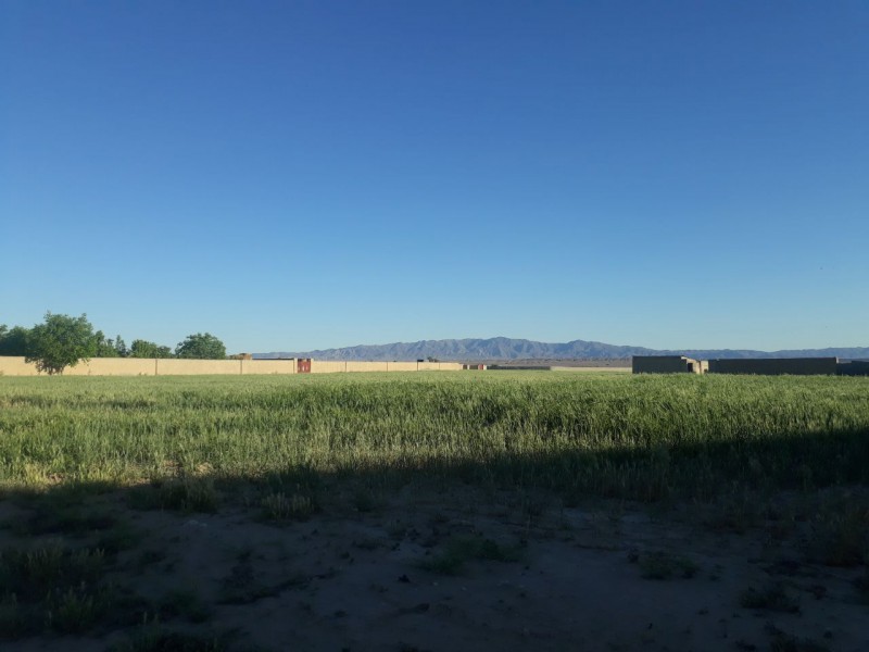 دامداری و ویلای متفاوت در نظرآباد کرج8