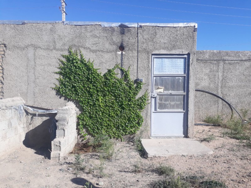 دامداری و ویلای متفاوت در نظرآباد کرج15