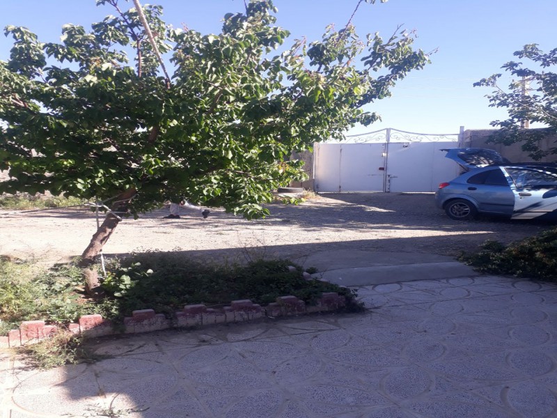 دامداری و ویلای متفاوت در نظرآباد کرج6