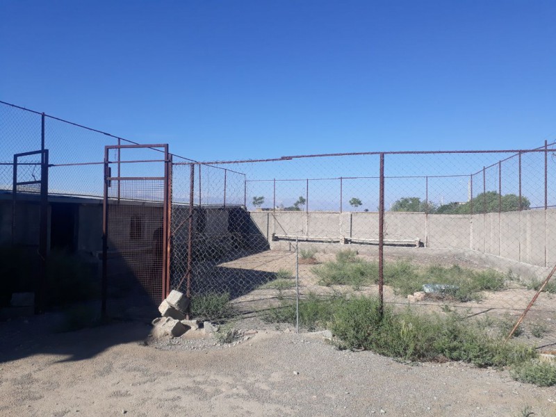 دامداری و ویلای متفاوت در نظرآباد کرج16