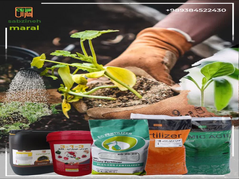 کودهیومیک گرانول2