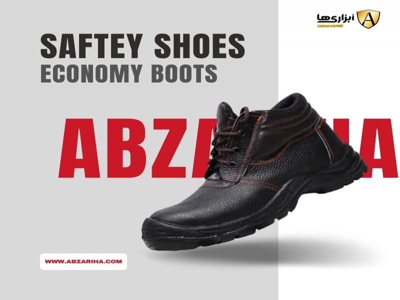 پوتین ایمنی بابک مدل اکونومی0