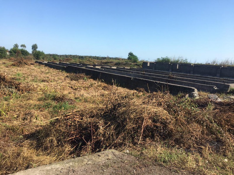 اجاره مزرعه پرورش ماهی خاویاری یا قزل آلا در تالش1