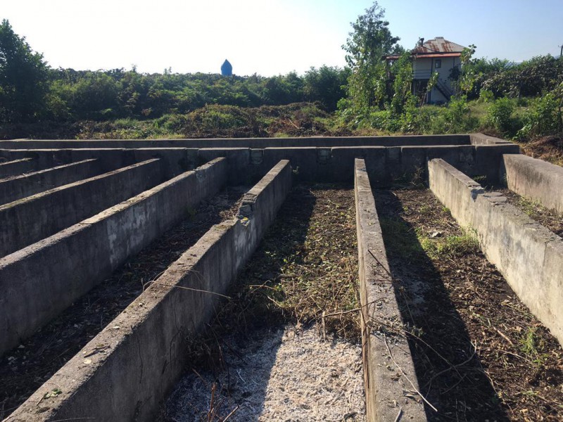 اجاره مزرعه پرورش ماهی خاویاری یا قزل آلا در تالش3