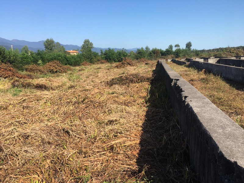 اجاره مزرعه پرورش ماهی خاویاری یا قزل آلا در تالش2