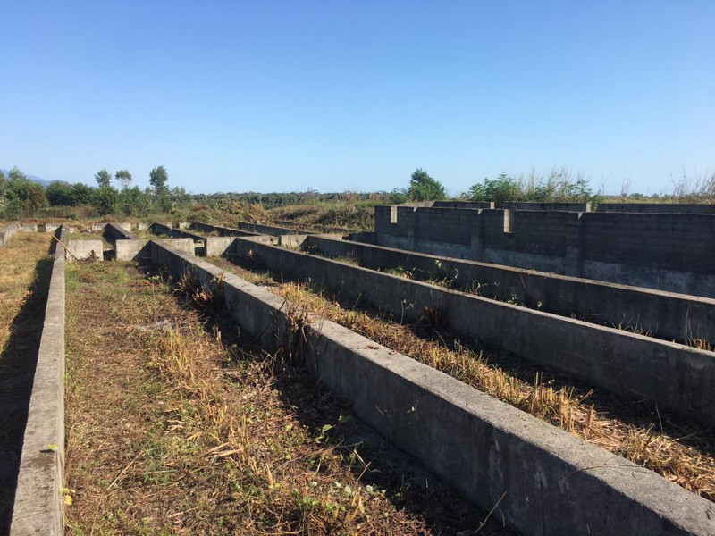 اجاره مزرعه پرورش ماهی خاویاری یا قزل آلا در تالش0