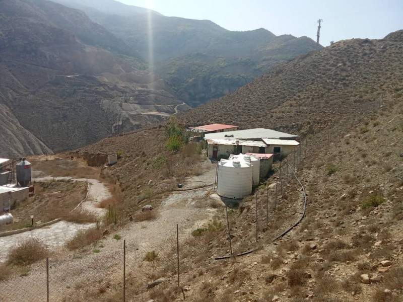 فروش مرغداری تخم گذار0