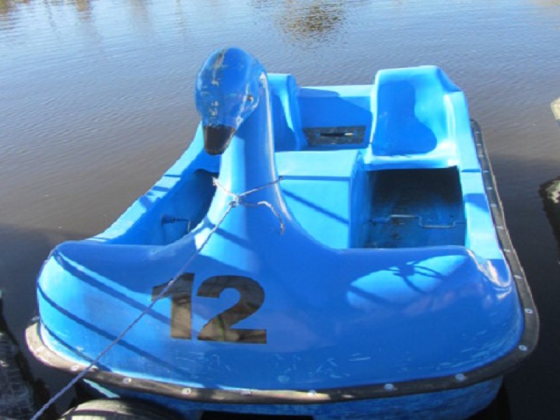 قایق پدالی قو در رنگ های مختلف1