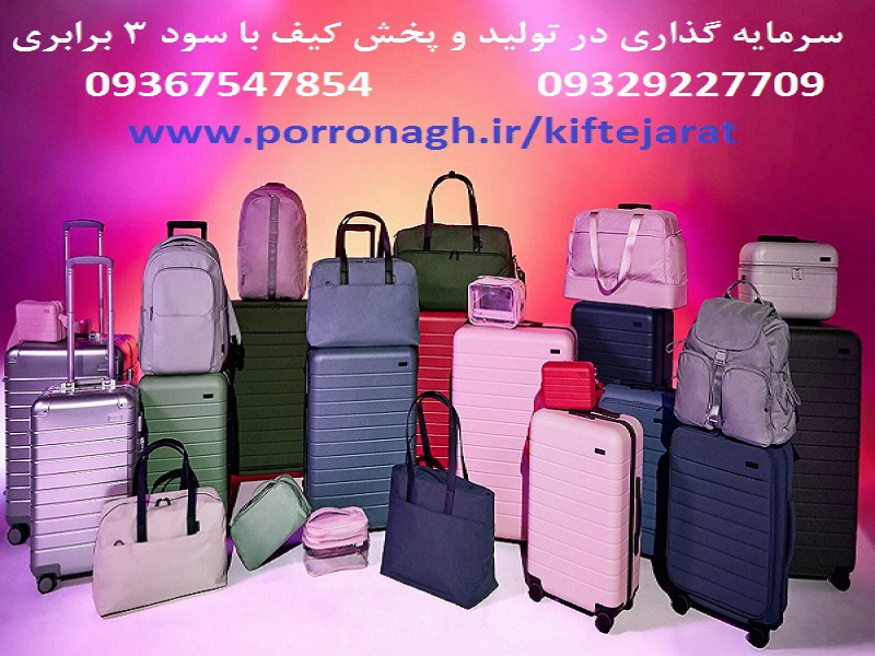 فرصت سرمایه گذاری در تولیدی پررونق با سود بالا2