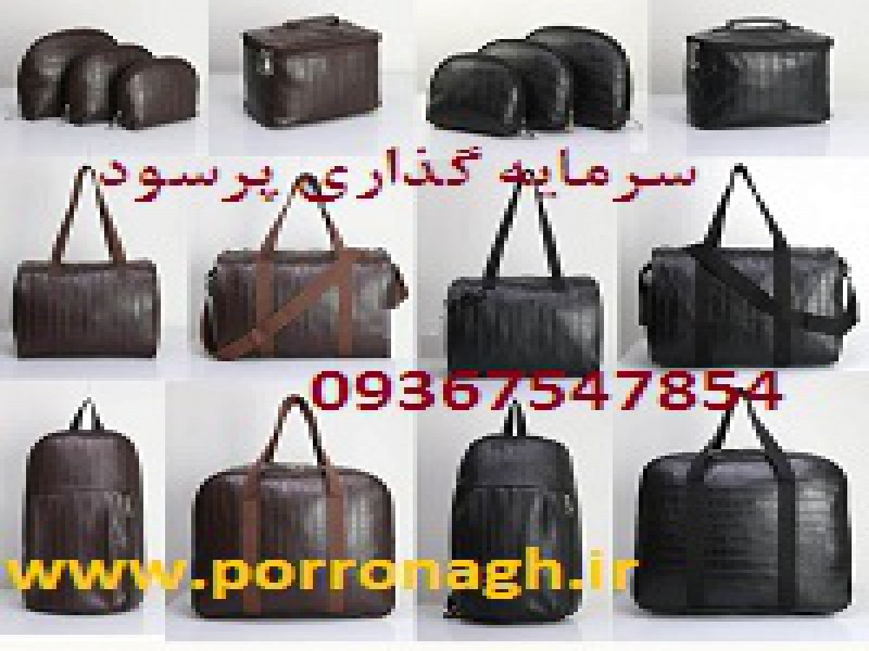 فرصت سرمایه گذاری در تولیدی پررونق با سود بالا4