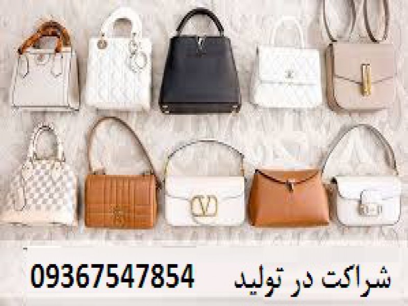 فرصت سرمایه گذاری در تولیدی پررونق با سود بالا3