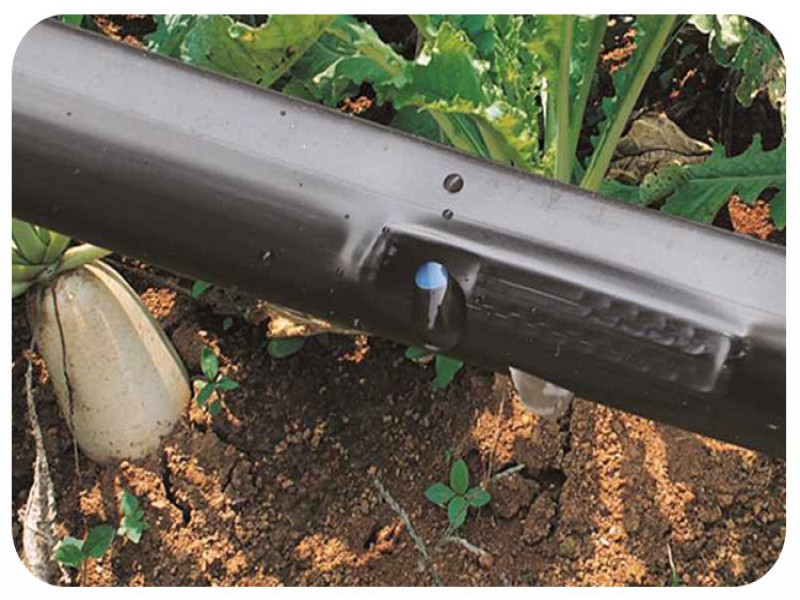 خط تولید نوارتیپ آبیاری پلاک دار1