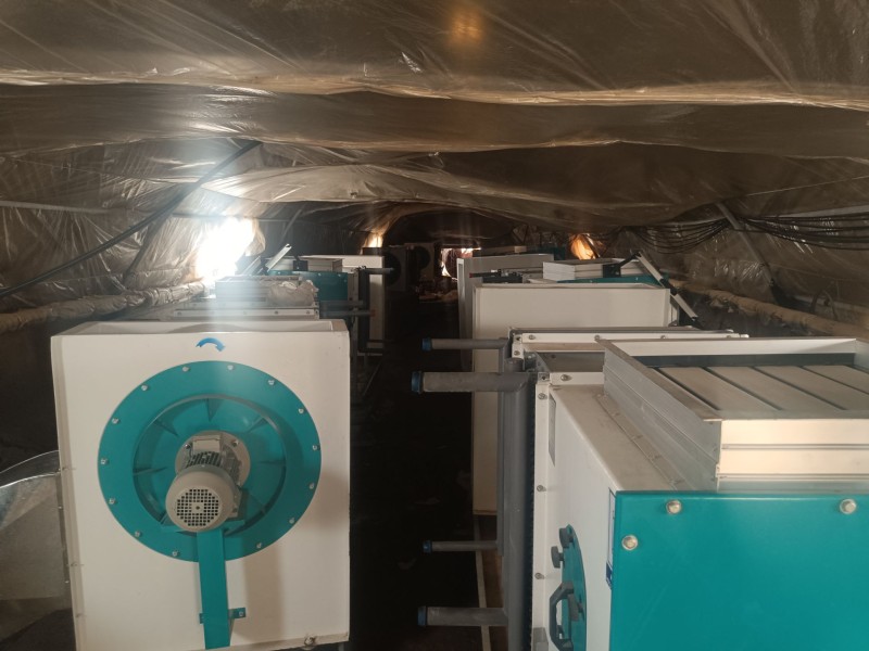 فروش شرکت قارچ4