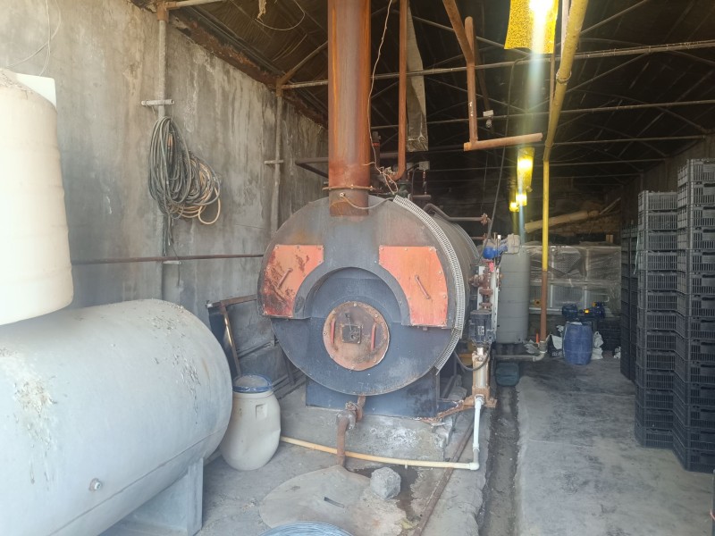 فروش شرکت قارچ6