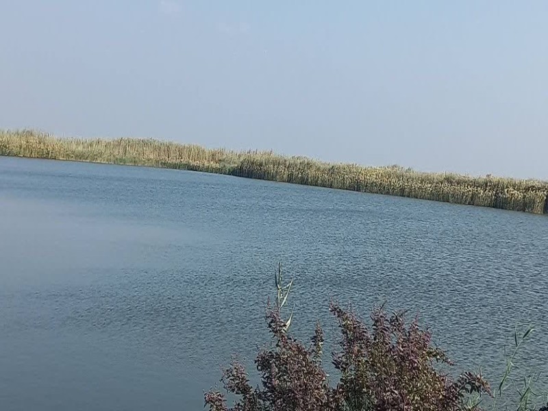 فروش پرورش ماهی گرم آبی در خرمشهر3