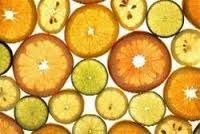 فروش کارخانه تولید میوه و سبزیجات خشک در چهار محال بختیاری-فروش کارخانه غذایی در شهرکرد2