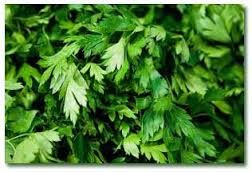 فروش کارخانه تولید میوه و سبزیجات خشک در چهار محال بختیاری-فروش کارخانه غذایی در شهرکرد1