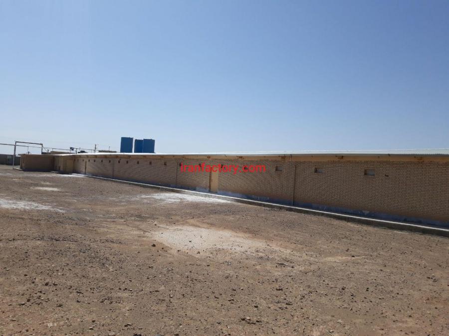 فروش مرغداری اتوماسیون با شرایط مناسب در نطنز0