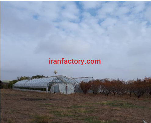 فروش 40 هزار متر گلخانه و استخر در تاکستان3